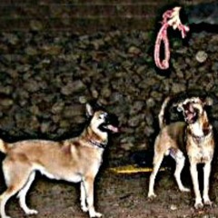 small damn town (prod. 71V)