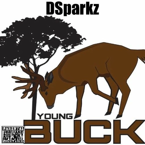 DSparkz - Young Buck (mastered)