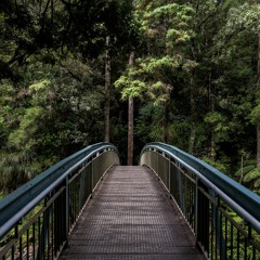 Confronting Uncertainty