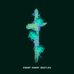SAINt JHN - Roses (Knarf Knarf bootleg)