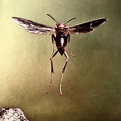 jUniPeR<3 ☻prod. cloud☻