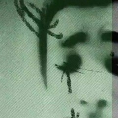 M 3 N 4 C 3  (ROUGH DEMO)