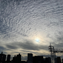 Intoxicate 177 jjingle