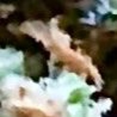 ...and in this we find solace