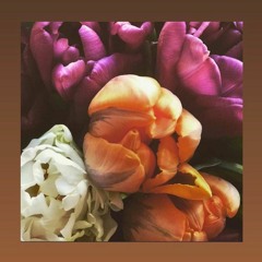 Los Elementos - L.A.Knight @ Radio Alhara (31/01/2021)