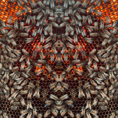 Honey Magick (Give Her Some Money Raiika Edit)
