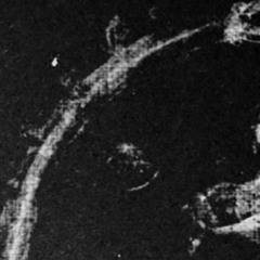 tyranny (the very rough draft)