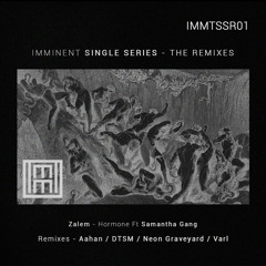 Premiere: Zalem & Samantha Gang - Hormone (Aahan Remix) [IMMTSSR01]