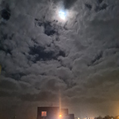 Untitled 1