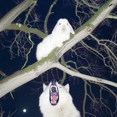 $UICIDEBOY$ - Resistance Is Useless (slowed+reverb)