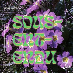 Sous - Entendu - Anesthesia