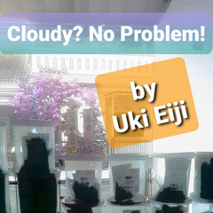 Cloudy? No Problem! (-)
