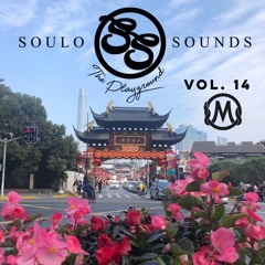 The Playground: Vol. 14