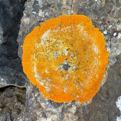 Inner Hebrides