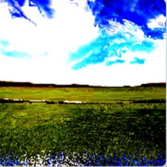a field