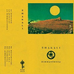 Shakali - Rihmastossa [Not Not Fun]