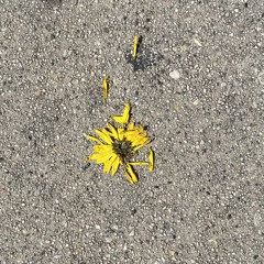 i’m alive (5-21-23)