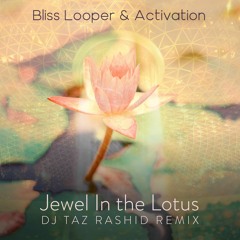 Bliss Looper & Activation - Jewel in the Lotus (DJ Taz Rashid Remix)