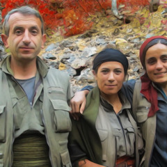 Ş. Atakan Mahîr - Jineoloji Üzerine (1)
