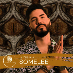 Sounds Of Sirin In The Mix #100 - Somelee
