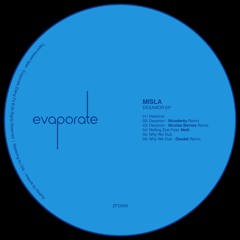 premiere: Misla, Netti - Melting Dub [ZFD004]