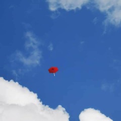 Soaring Umbrellas