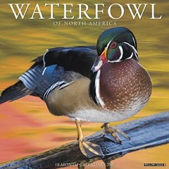 [Access] [EPUB KINDLE PDF EBOOK] Waterfowl 2020 Wall Calendar by  Willow Creek Press