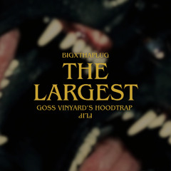 BIGXTHAPLUG - THE LARGEST (Goss Vinyard Hoodtrap Flip)