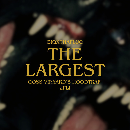 BIGXTHAPLUG - THE LARGEST (Goss Vinyard Hoodtrap Flip)