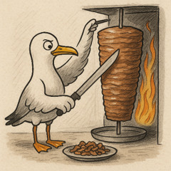 ns | martı döner