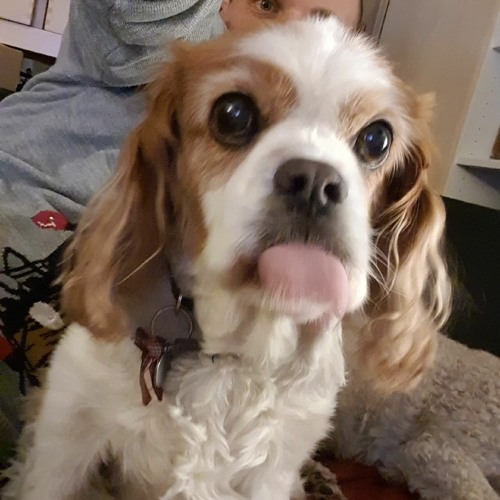 MAGIC CHORD for OLIVER