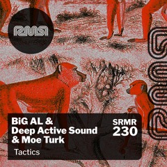 BiG AL & Deep Active Sound & Moe Turk - Tactics (Original Mix)