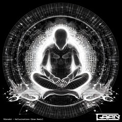 Mikrodot - Hallucinations (Gran Remix / FREE DL)