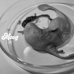MOOG
