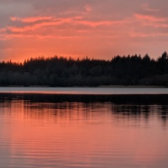 Fine (1st BareBones Mix)