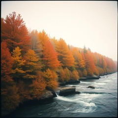 Passing seasons