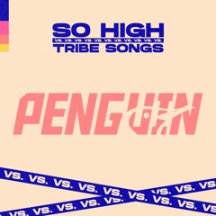 PENGUIN @ SO HIGH VS TRIBE SONGS (CURITIBA-PR)