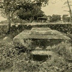 Ambient 8