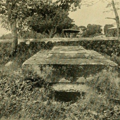 Ambient 8