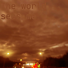 The world sees me (Flip)