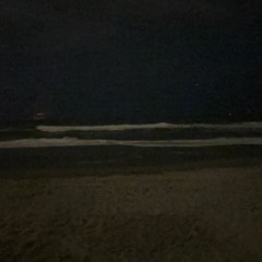 DARK BEACH
