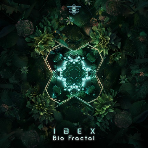 IbeX - Bio Fractal