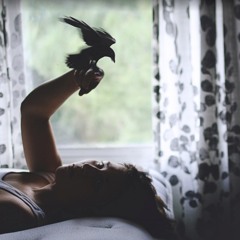 All My Hopes and Dreams Fly Before Me