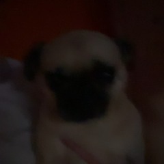 4our - Cut Like This (Official Music Video) @jorjorwilson