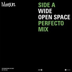 Wide Open Space (Perfecto Mix)