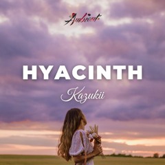 Kazukii - Hyacinth