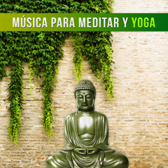 Relajación Yoga: albums, songs, playlists