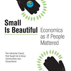 [DOWNLOAD] EBOOK ✏️ Small Is Beautiful: Economics as if People Mattered (Harper Peren