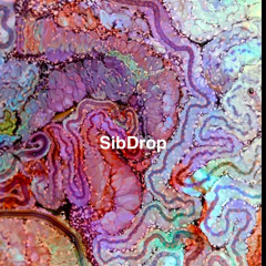 SibDrop by EllA & Nerole