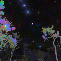 STARS (demo)